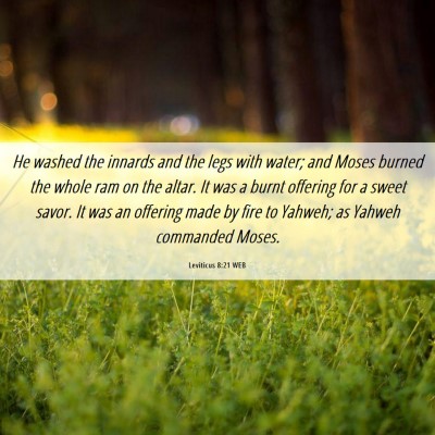 Picture 06 - Leviticus 8:21 WEB - He washed the innards and the legs with water; - Bible Verse Picture