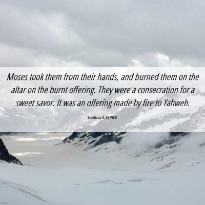 Picture 06 - Leviticus 8:28 WEB - Moses took them from their hands, and burned them - Bible Verse Picture