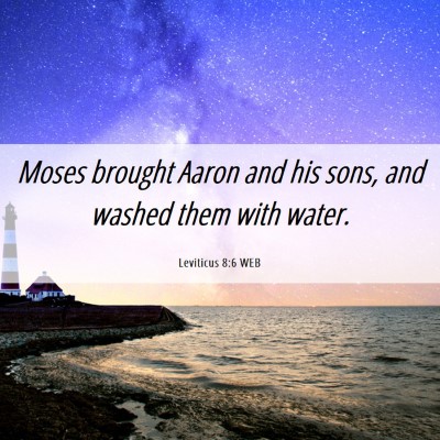 Picture 06 - Leviticus 8:6 WEB - Moses brought Aaron and his sons, and washed them - Bible Verse Picture