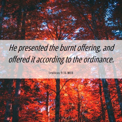 Picture 06 - Leviticus 9:16 WEB - He presented the burnt offering, and offered it - Bible Verse Picture