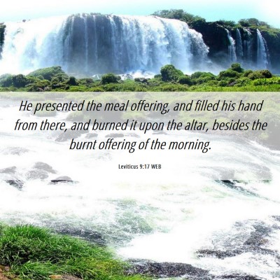 Picture 06 - Leviticus 9:17 WEB - He presented the meal offering, and filled his - Bible Verse Picture