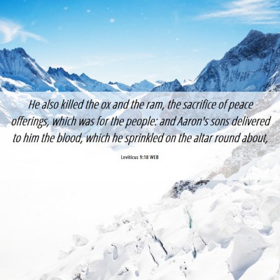 Picture 06 - Leviticus 9:18 WEB - He also killed the ox and the ram, the sacrifice - Bible Verse Picture