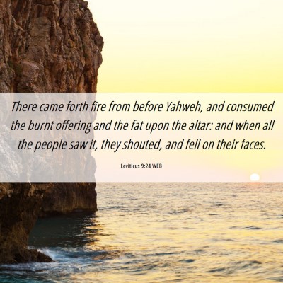 Picture 06 - Leviticus 9:24 WEB - There came forth fire from before Yahweh, and - Bible Verse Picture