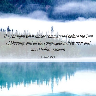 Picture 06 - Leviticus 9:5 WEB - They brought what Moses commanded before the Tent - Bible Verse Picture
