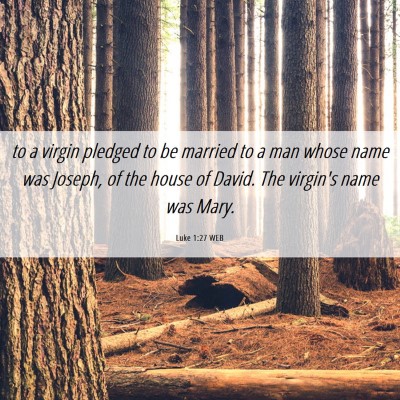 Picture 06 - Luke 1:27 WEB - to a virgin pledged to be married to a man whose - Bible Verse Picture