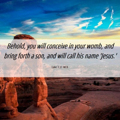 Picture 06 - Luke 1:31 WEB - Behold, you will conceive in your womb, and bring - Bible Verse Picture