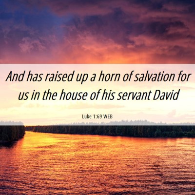 Picture 06 - Luke 1:69 WEB - And has raised up a horn of salvation for us in - Bible Verse Picture