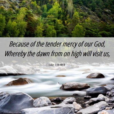 Picture 06 - Luke 1:78 WEB - Because of the tender mercy of our God, Whereby - Bible Verse Picture