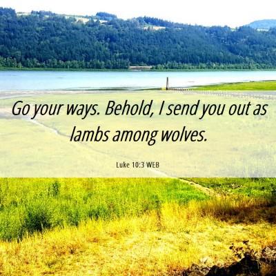 Picture 06 - Luke 10:3 WEB - Go your ways. Behold, I send you out as lambs - Bible Verse Picture