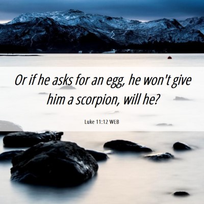 Picture 06 - Luke 11:12 WEB - Or if he asks for an egg, he won't give him a - Bible Verse Picture
