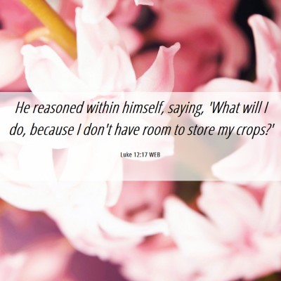 Picture 06 - Luke 12:17 WEB - He reasoned within himself, saying, 'What will I - Bible Verse Picture