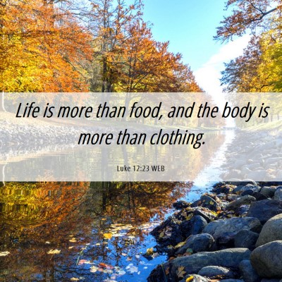 Picture 06 - Luke 12:23 WEB - Life is more than food, and the body is more than - Bible Verse Picture