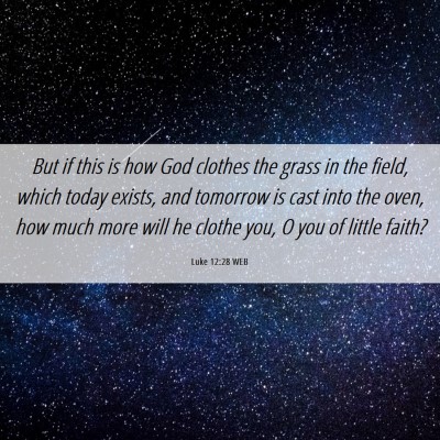 Picture 06 - Luke 12:28 WEB - But if this is how God clothes the grass in the - Bible Verse Picture