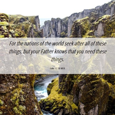 Picture 06 - Luke 12:30 WEB - For the nations of the world seek after all of - Bible Verse Picture