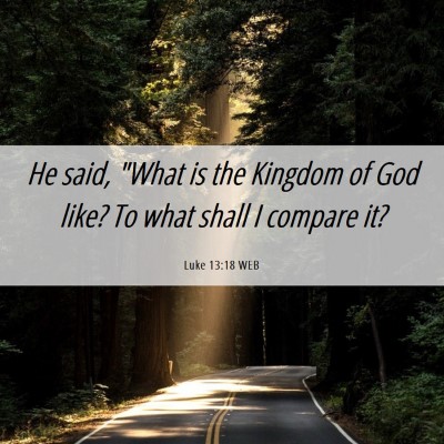 Picture 06 - Luke 13:18 WEB - He said, 