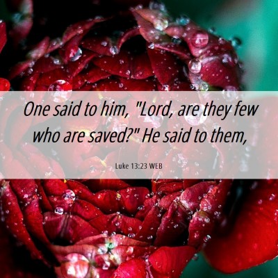 Picture 06 - Luke 13:23 WEB - One said to him, 