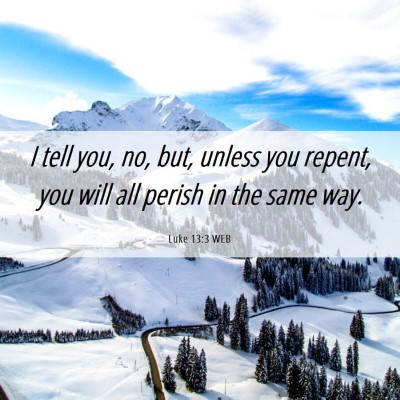 Picture 06 - Luke 13:3 WEB - I tell you, no, but, unless you repent, you will - Bible Verse Picture