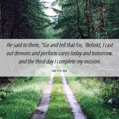 Picture 06 - Luke 13:32 WEB - He said to them, 