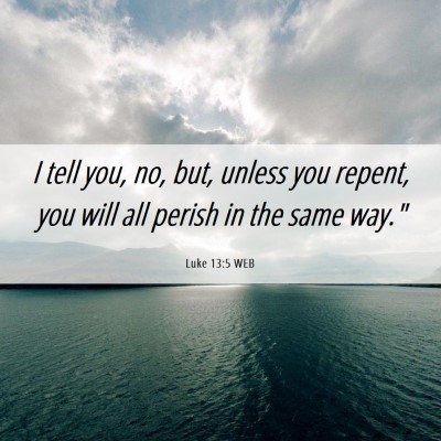 Picture 06 - Luke 13:5 WEB - I tell you, no, but, unless you repent, you will - Bible Verse Picture