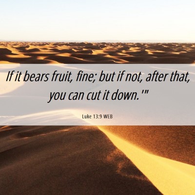 Picture 06 - Luke 13:9 WEB - If it bears fruit, fine; but if not, after that, - Bible Verse Picture
