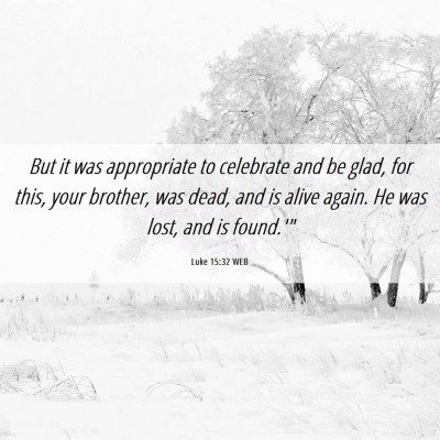 Picture 06 - Luke 15:32 WEB - But it was appropriate to celebrate and be glad, - Bible Verse Picture
