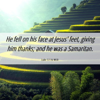 Picture 06 - Luke 17:16 WEB - He fell on his face at Jesus' feet, giving him - Bible Verse Picture