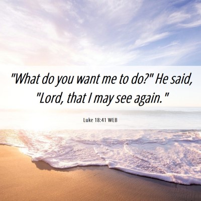 Picture 06 - Luke 18:41 WEB - 