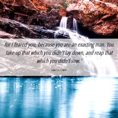 Picture 06 - Luke 19:21 WEB - for I feared you, because you are an exacting - Bible Verse Picture