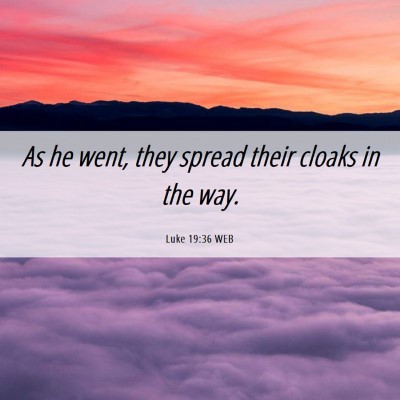 Picture 06 - Luke 19:36 WEB - As he went, they spread their cloaks in the - Bible Verse Picture