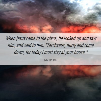 Picture 06 - Luke 19:5 WEB - When Jesus came to the place, he looked up and - Bible Verse Picture