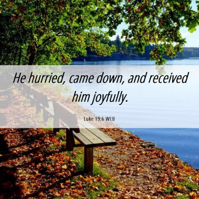 Picture 06 - Luke 19:6 WEB - He hurried, came down, and received him - Bible Verse Picture