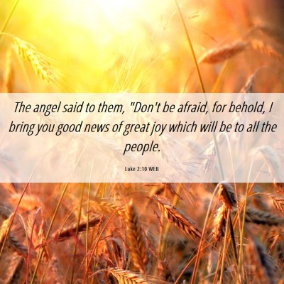 Picture 06 - Luke 2:10 WEB - The angel said to them, 