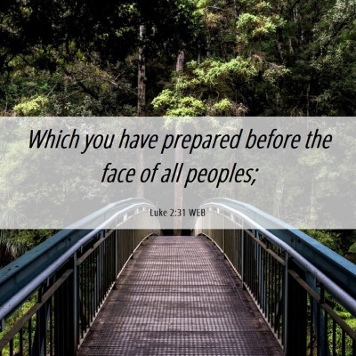 Picture 06 - Luke 2:31 WEB - Which you have prepared before the face of all - Bible Verse Picture