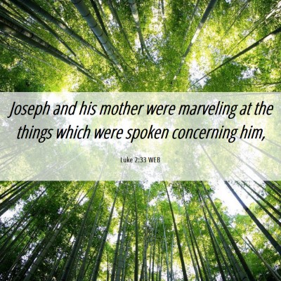 Picture 06 - Luke 2:33 WEB - Joseph and his mother were marveling at the - Bible Verse Picture