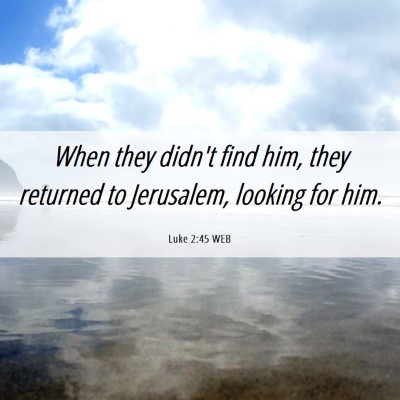 Picture 06 - Luke 2:45 WEB - When they didn't find him, they returned to - Bible Verse Picture