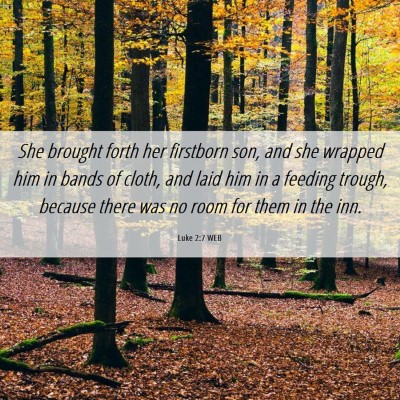 Picture 06 - Luke 2:7 WEB - She brought forth her firstborn son, and she - Bible Verse Picture