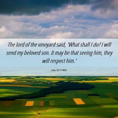 Picture 06 - Luke 20:13 WEB - The lord of the vineyard said, 'What shall I do? - Bible Verse Picture