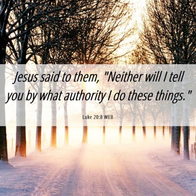 Picture 06 - Luke 20:8 WEB - Jesus said to them, 
