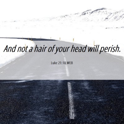 Picture 06 - Luke 21:18 WEB - And not a hair of your head will - Bible Verse Picture