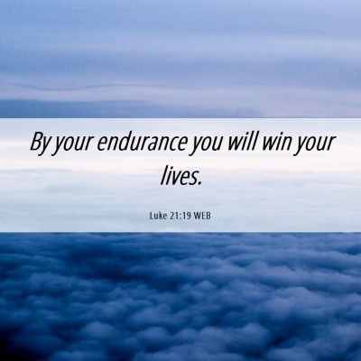Picture 06 - Luke 21:19 WEB - By your endurance you will win your - Bible Verse Picture