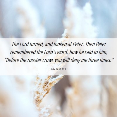 Picture 06 - Luke 22:61 WEB - The Lord turned, and looked at Peter. Then Peter - Bible Verse Picture