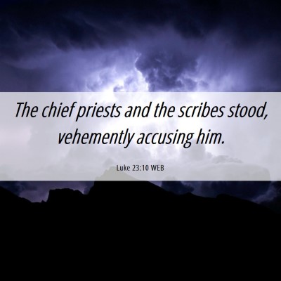 Picture 06 - Luke 23:10 WEB - The chief priests and the scribes stood, - Bible Verse Picture