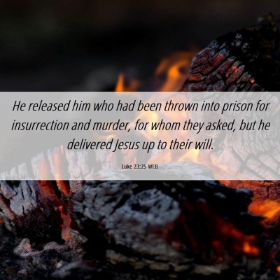 Picture 06 - Luke 23:25 WEB - He released him who had been thrown into prison - Bible Verse Picture