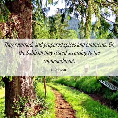 Picture 06 - Luke 23:56 WEB - They returned, and prepared spices and ointments. - Bible Verse Picture