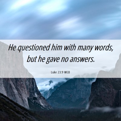 Picture 06 - Luke 23:9 WEB - He questioned him with many words, but he gave no - Bible Verse Picture