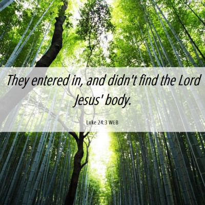 Picture 06 - Luke 24:3 WEB - They entered in, and didn't find the Lord Jesus' - Bible Verse Picture