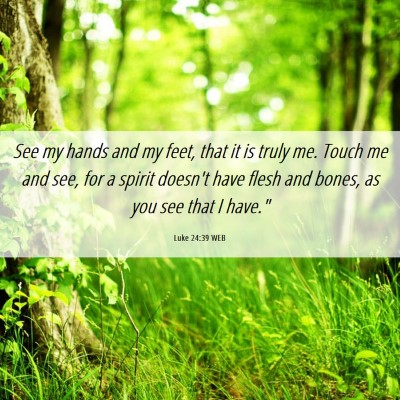 Picture 06 - Luke 24:39 WEB - See my hands and my feet, that it is truly me. - Bible Verse Picture