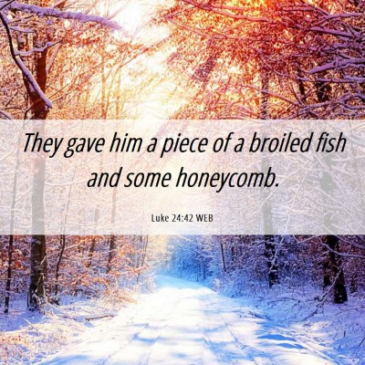 Picture 06 - Luke 24:42 WEB - They gave him a piece of a broiled fish and some - Bible Verse Picture