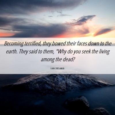 Picture 06 - Luke 24:5 WEB - Becoming terrified, they bowed their faces down - Bible Verse Picture