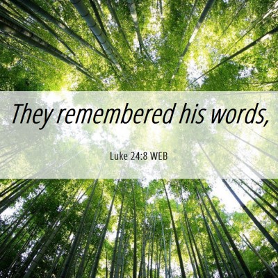Picture 06 - Luke 24:8 WEB - They remembered his - Bible Verse Picture